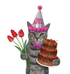 A gray cat in a party hat holds a holiday chocolate truffle cake and a bouquet of red tulips. White background. Isolated.