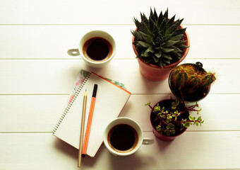 Des tasses de café, des plantes et carnet de notes - obrazy, fototapety, plakaty