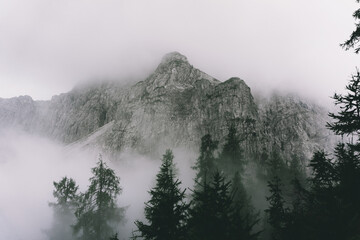 niebla montaña