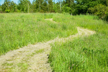 Winding path outside cut through long grass fors hikers to walk through