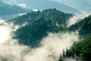 Fog over the southern Black Forest shot near St. Maergen