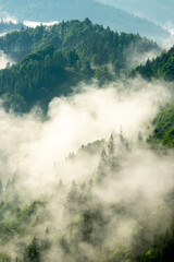 Fog over the southern Black Forest shot near St. Maergen - obrazy, fototapety, plakaty