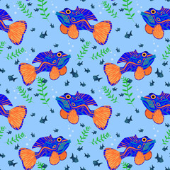marine vector pattern with mandarin fish on a blue background