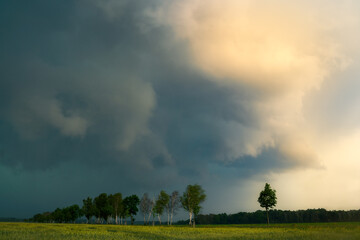 Sturm mit Blitz an einem Getreidefeld