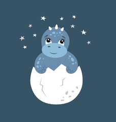 newborn cute baby boy cartoon blue dinosaur