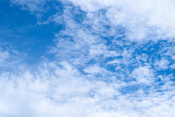 Fototapeta premium 青空