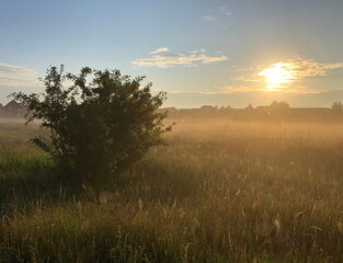 Sunrise at the village on a summer foggy morning