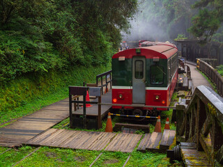  Alishan forest train at Sacred tree station