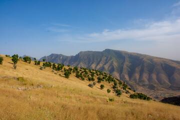 Fototapeta premium landscape with sky