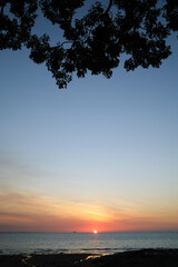 Fototapeta na wymiar Sunset over ocean with tree branch silhouette