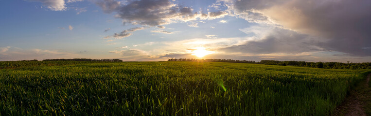 Sunset with clouds over wheat field.