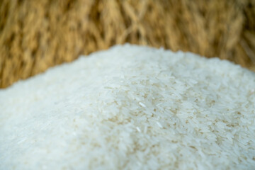 Rice variety is Thailand major variety for consumption good