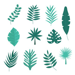 Vector set of tropical leaves.