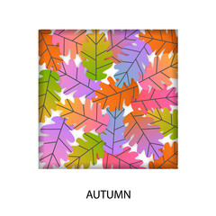 autumn fall gradient colored cartoon flat oak leaves square frame background