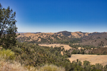 Fototapeta na wymiar Exploring ranchlands and vineyards along Happy Canyon Trail in Santa Ynez California
