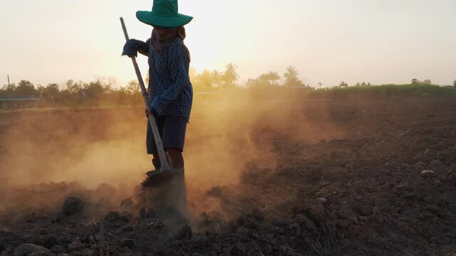 silhouette of a farmer wearing a hat and boots is digging through the hoe to prepare the field against the sunset.