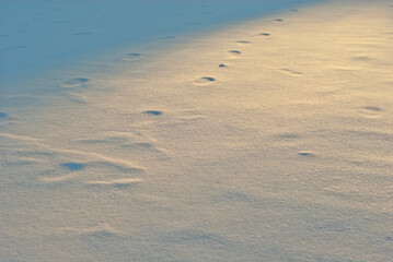Texture of fresh snow. Footprint from the sole on fresh snow. Yellow sunlight on the snow. Sunset in winter.