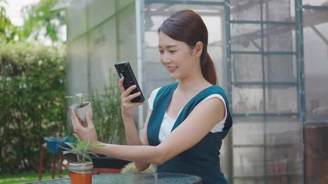 Asian beautiful young woman taking photos of small tree on pot by smartphone for sale in garden near greenhouse, female gardener photography flowers on digital mobile phone, house plant