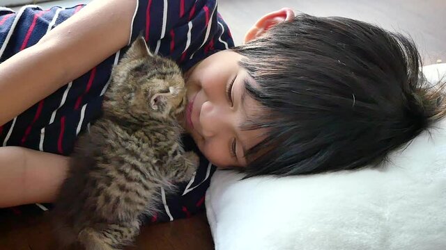 Cute Asian Child Playing With Short Hair Kitten