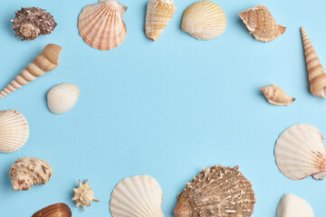 beautiful frame of shells and seashells on a blue background. simple minimalistic summer composition. copy space with place for text, flat lay