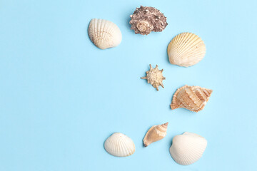 frame of shells on a blue background. simple minimalistic summer composition. copy space, top view