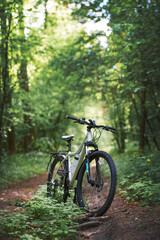 Fototapeta na wymiar Mountain bicycle standing on a forest trail. Countryside cycling