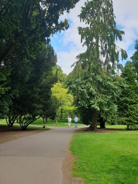 Small Group Of People Walking In The Park During The Coronavirus Pandemic