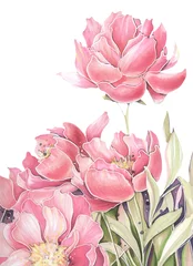 Abwaschbare Fototapete Babyzimmer Skizzieren Sie mit Markern Aquarell rosa Fuchsia Pfingstrosen auf einem weißen Hintergrund Bouquet von Sommerblumen
