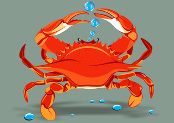 crab with bubbles water drops  