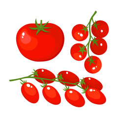 Vector colorful set of tomatoes cherry isolated on white.