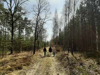 Family spring walk in a forest
