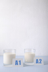Two glasses of milk, different types of milk A1 and A2 on the blue surface against white wall