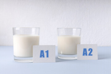 Closeup of two glasses of milk on the blue surface agaist white wall.Different types of milk