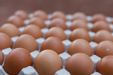 Fototapeta na wymiar Eggs are arranged on paper panels, many of them are light brown in color. And dark brown Several laying hens close together at the front, behind the bel