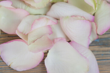 White rose petals on a rustic wooden background, copy space