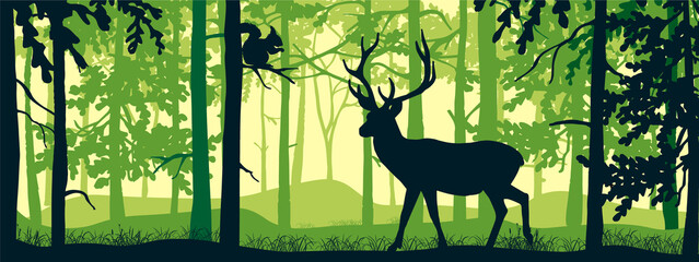Horizontal banner of forest landscape. Deer with antlers in magic misty forest. Squirrel on branch. Silhouettes of trees and animals. Green background, illustration. Bookmark.