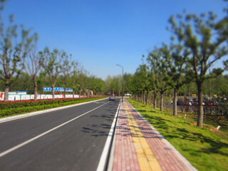 Rows of trees, cars and sidewalks, with perspective and miniature shifting effects