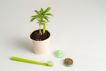 Toothbrush and CBD products around it