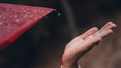 person holding hands under umbrella