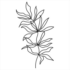 Line art of beautiful plant branch. Vector illustration.