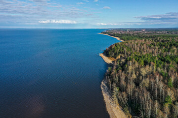 Aerial view of the coastline of the Gulf of Finland. Sandy coast and forest belt. Treetops, blue sky.