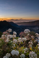 Mountain Bromo in the foggy morning. Mount Bromo is located in East Java, Indonesia. Mount bromo is a well known volcano together with mount batok and mount semeru.