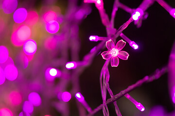 LED decorative light in shape of flower with bokeh backgroud in Christmas and New Year Festival