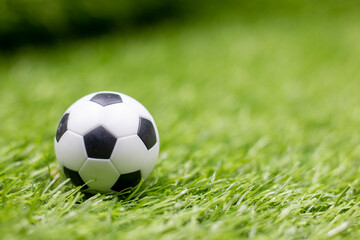 Soccer ball is on green grass