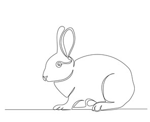 hare, rabbit one continuous line drawing