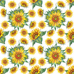 Fototapeta na wymiar Seamless repeating pattern of big and small yellow sunflowers with green leaves and buds. Realistic texture of summer flower. Watercolor hand painted isolated element on white background.