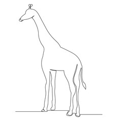 giraffe drawing one continuous line isolated