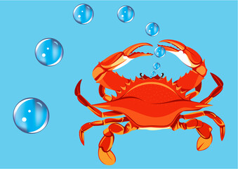 crab with water bubbles - blue background
