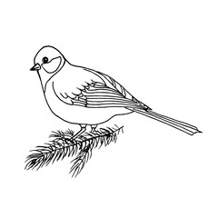Bird tit sitting on a spruce branch.Vector, manual drawing.The bird can be used in textiles, postcards,and packaging.
