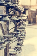 Rows of butter candles prepared for morning prayer.